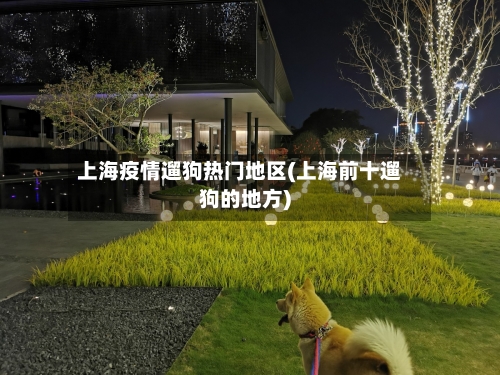 上海疫情遛狗热门地区(上海前十遛狗的地方)