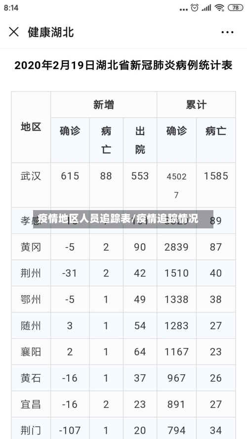 疫情地区人员追踪表/疫情追踪情况-第1张图片