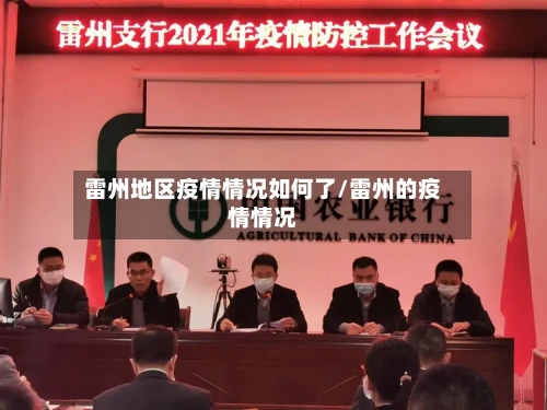雷州地区疫情情况如何了/雷州的疫情情况-第2张图片