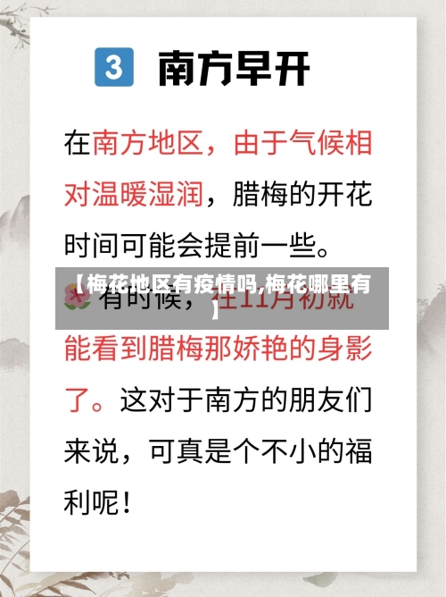 【梅花地区有疫情吗,梅花哪里有】-第3张图片