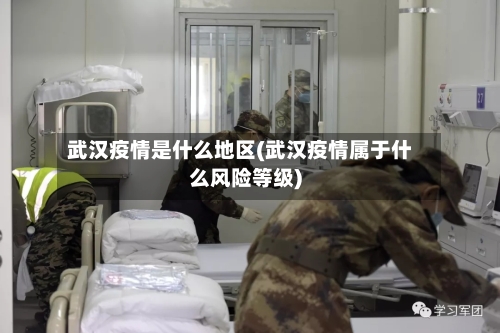 武汉疫情是什么地区(武汉疫情属于什么风险等级)-第1张图片