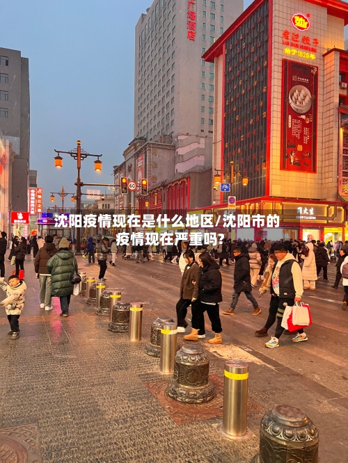 沈阳疫情现在是什么地区/沈阳市的疫情现在严重吗?-第1张图片