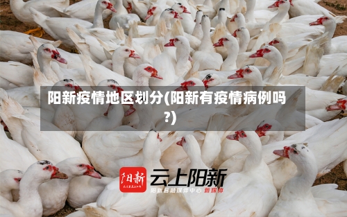 阳新疫情地区划分(阳新有疫情病例吗?)-第1张图片