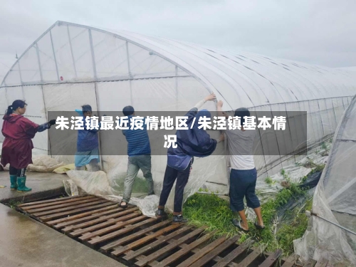 朱泾镇最近疫情地区/朱泾镇基本情况-第1张图片