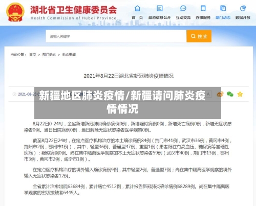 新疆地区肺炎疫情/新疆请问肺炎疫情情况-第1张图片