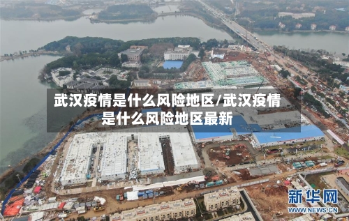 武汉疫情是什么风险地区/武汉疫情是什么风险地区最新-第3张图片
