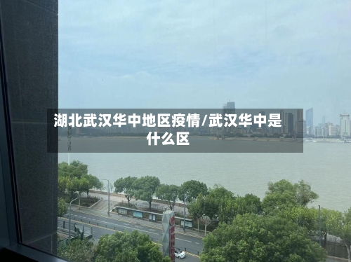 湖北武汉华中地区疫情/武汉华中是什么区-第1张图片