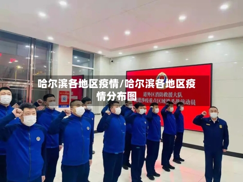 哈尔滨各地区疫情/哈尔滨各地区疫情分布图-第1张图片