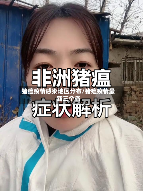 猪瘟疫情感染地区分布/猪瘟疫情最新三个省-第1张图片