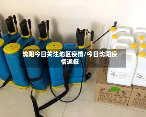 沈阳今日关注地区疫情/今日沈阳疫情通报-第1张图片