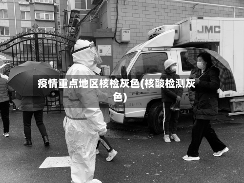 疫情重点地区核检灰色(核酸检测灰色)-第3张图片