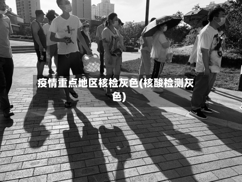 疫情重点地区核检灰色(核酸检测灰色)-第1张图片