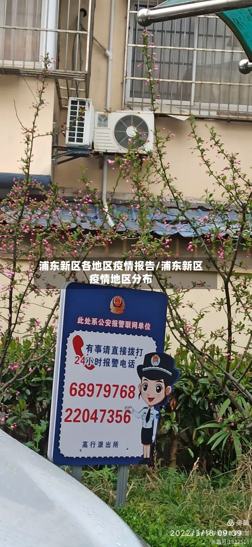 浦东新区各地区疫情报告/浦东新区疫情地区分布-第2张图片