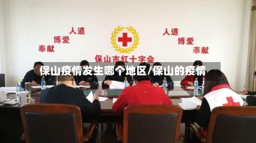 保山疫情发生哪个地区/保山的疫情-第2张图片