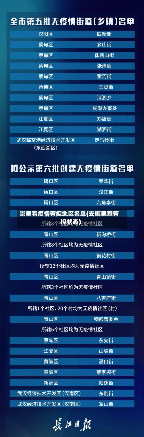 哪里看疫情管控地区名单(去哪里查管控状态)-第2张图片