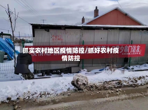 抓实农村地区疫情防控/抓好农村疫情防控-第1张图片